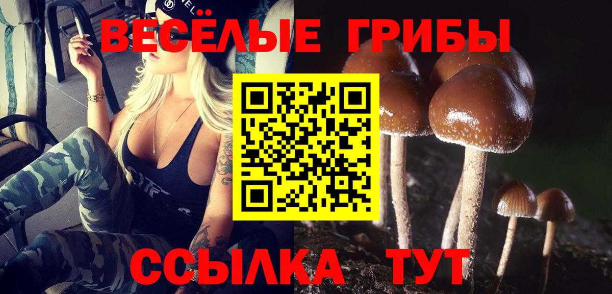 Новочеркасск  Галлюциногенные грибы мицелий  Вход с VPN  Псилоцибиновые грибы мухоморы 