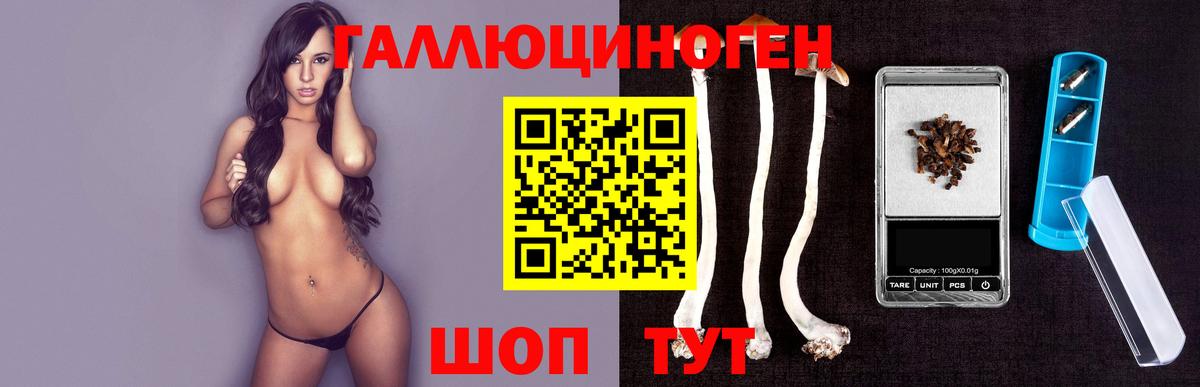 Псилоцибиновые грибы прущие грибы Новочеркасск